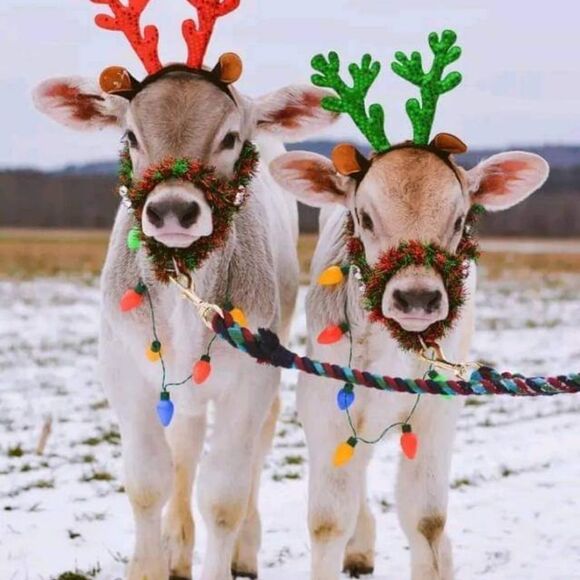 Send me a reasonable offer! Let's do this! (unless it's a handmade item😉)😊📦 - Picture 1 of 10